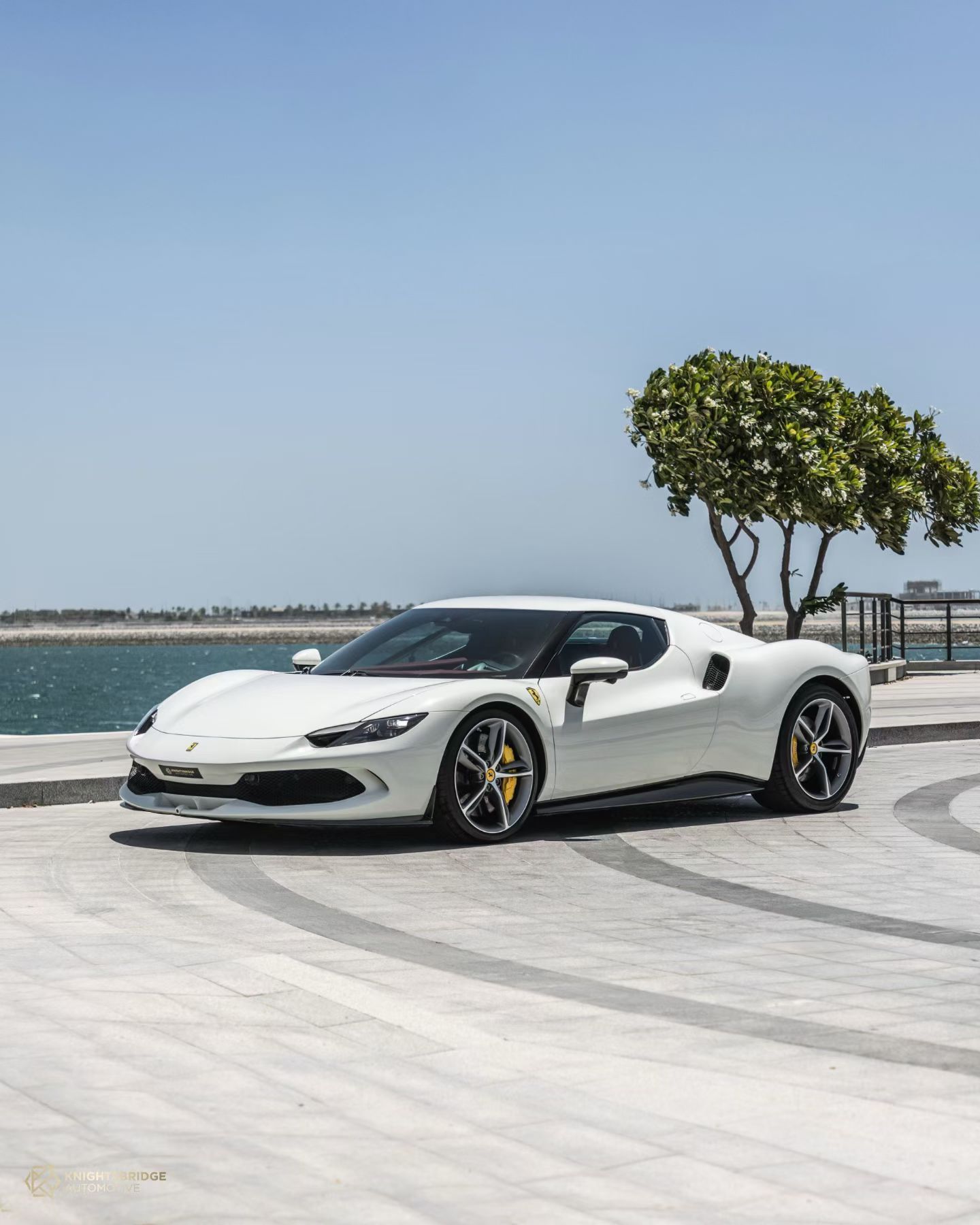 出一台296GTB 白外黑内 