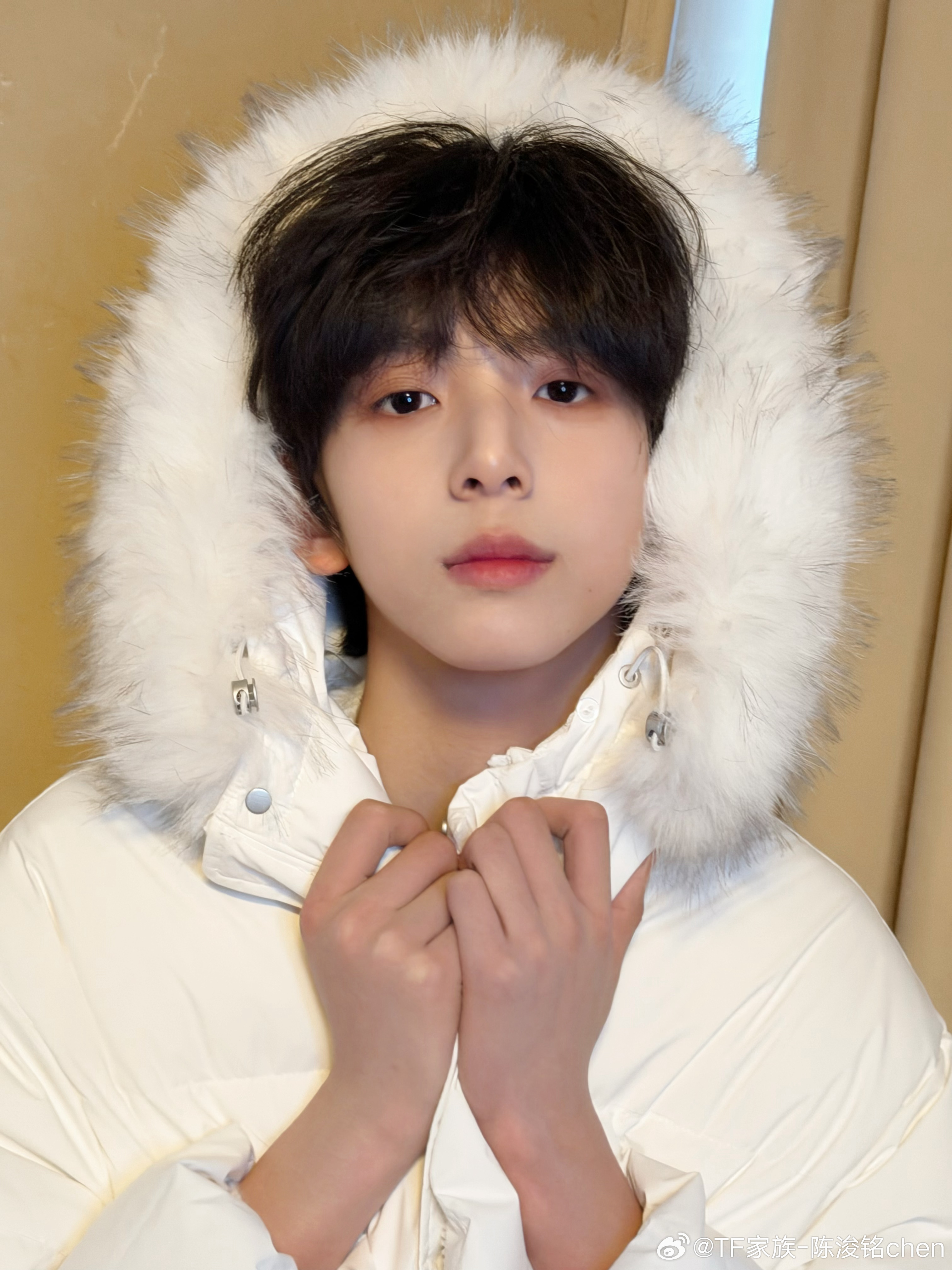 哥哥我是你的狗 我跪下了 