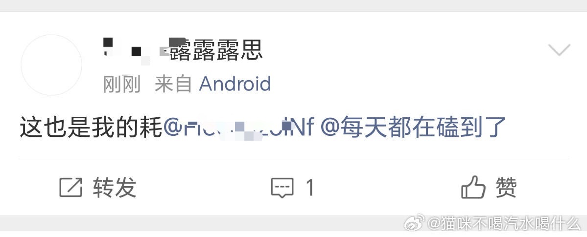 感觉苦奴隶脑子都不太正常 