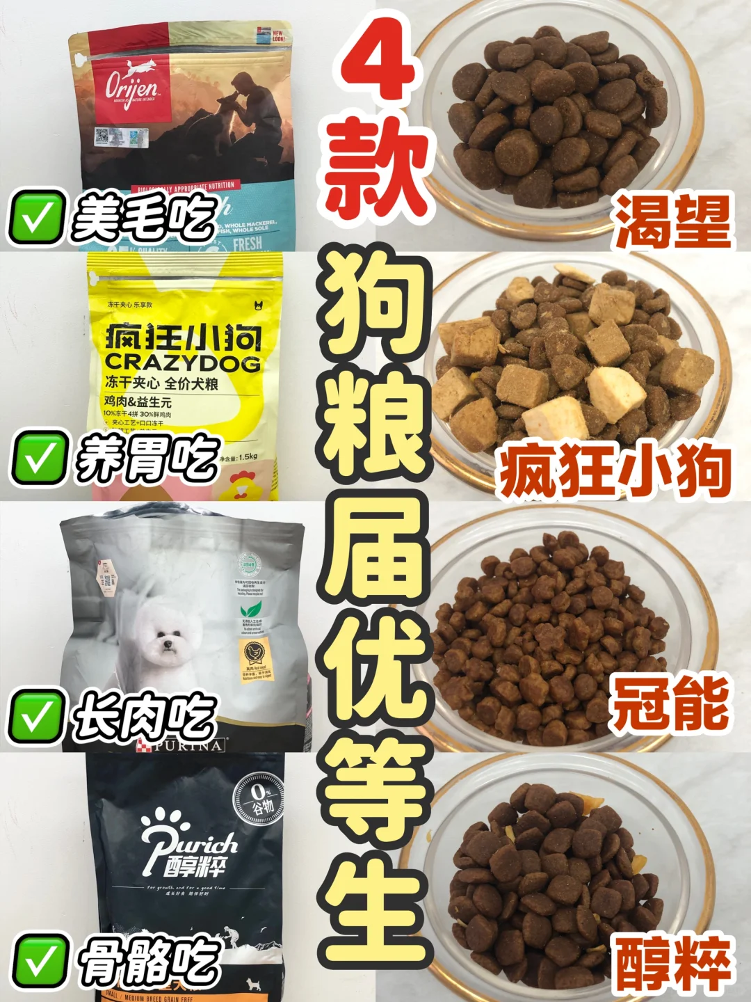 2024 4款热门狗粮真实测评