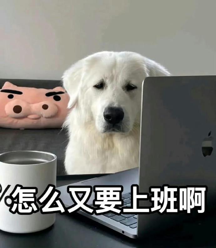 打工人的痛真的只有打工人能够懂，当打工达到一定程度的时候，回过头才发现啥都不如有