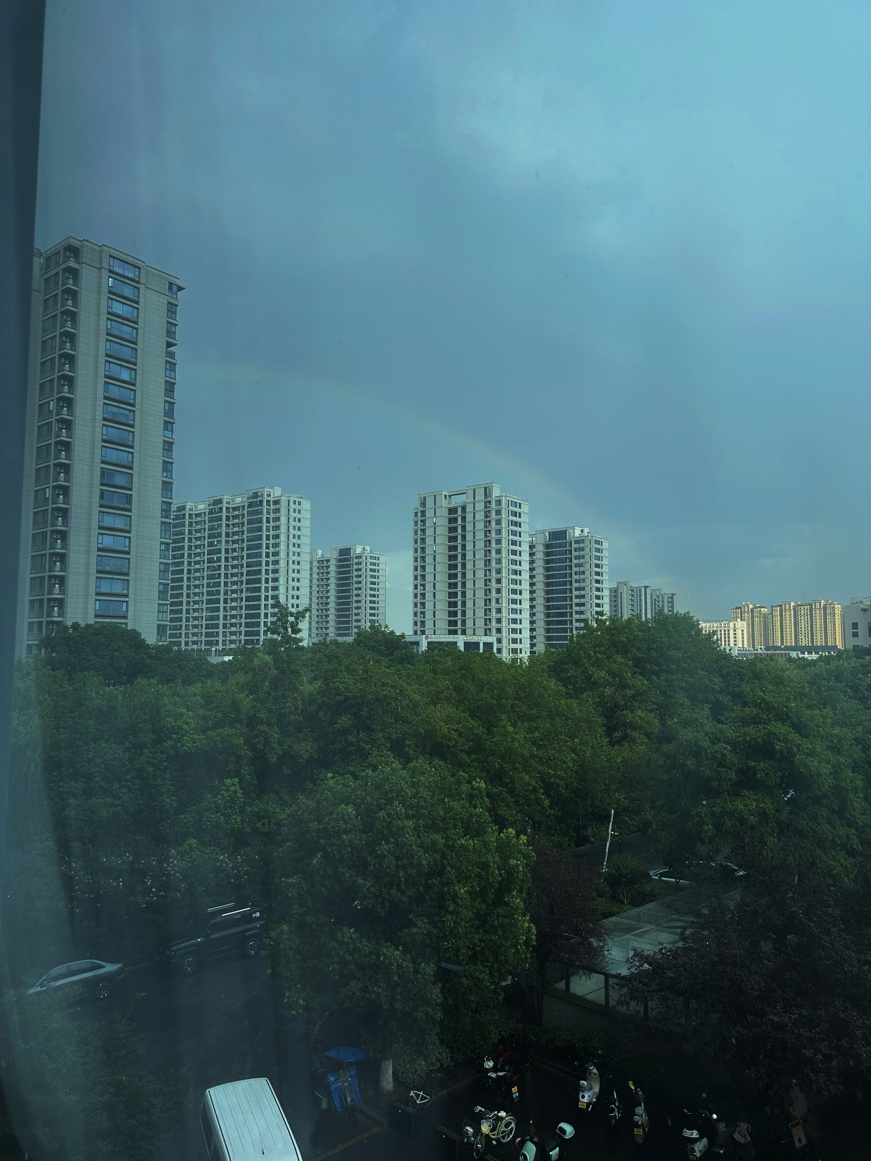 其实每次出太阳的时候下雨我都会往天空上看一看，但这是我人生中第一次见到真正的彩虹