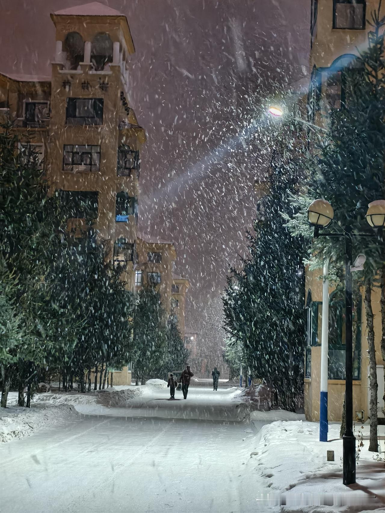 今日漠河下雪了，这几张张图，隔屏都能感受到东北的冬天！
看这风雪中的松树和建筑，