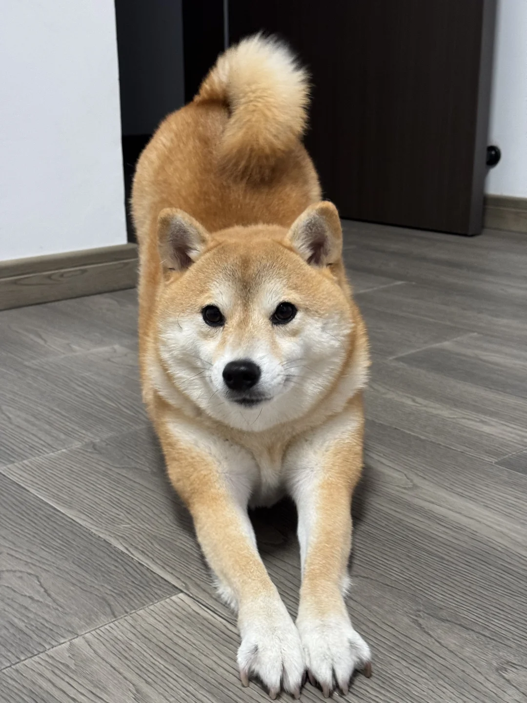 Duang一下…就坐好了