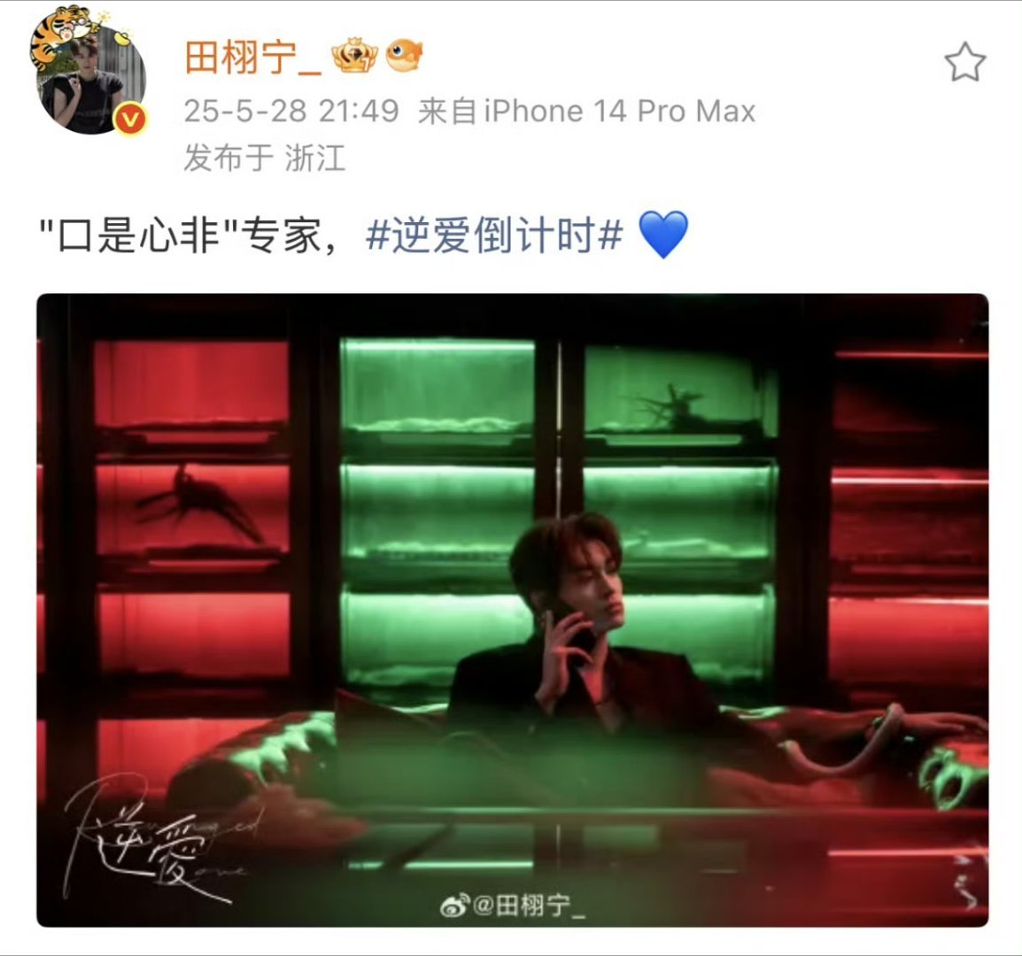早上好“口是心非”专家一周年快乐
