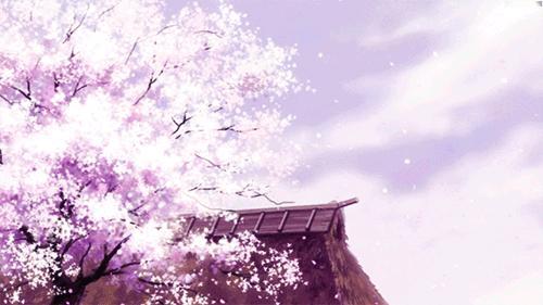 空街，无对手的棋·默斋主人原创自由诗那条街把门牌号一个个还给了秋天我走过时，只有