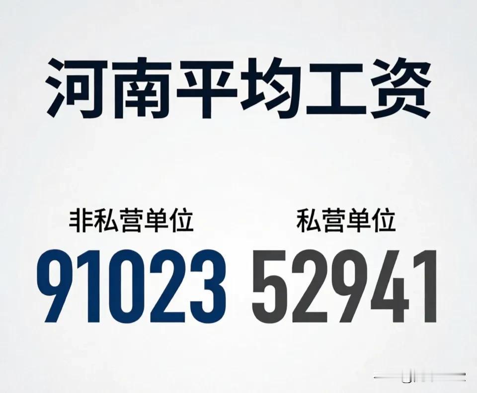 作为一个河南人，打死我也不相信。
         吹吧！吹牛不上税。年收入人均