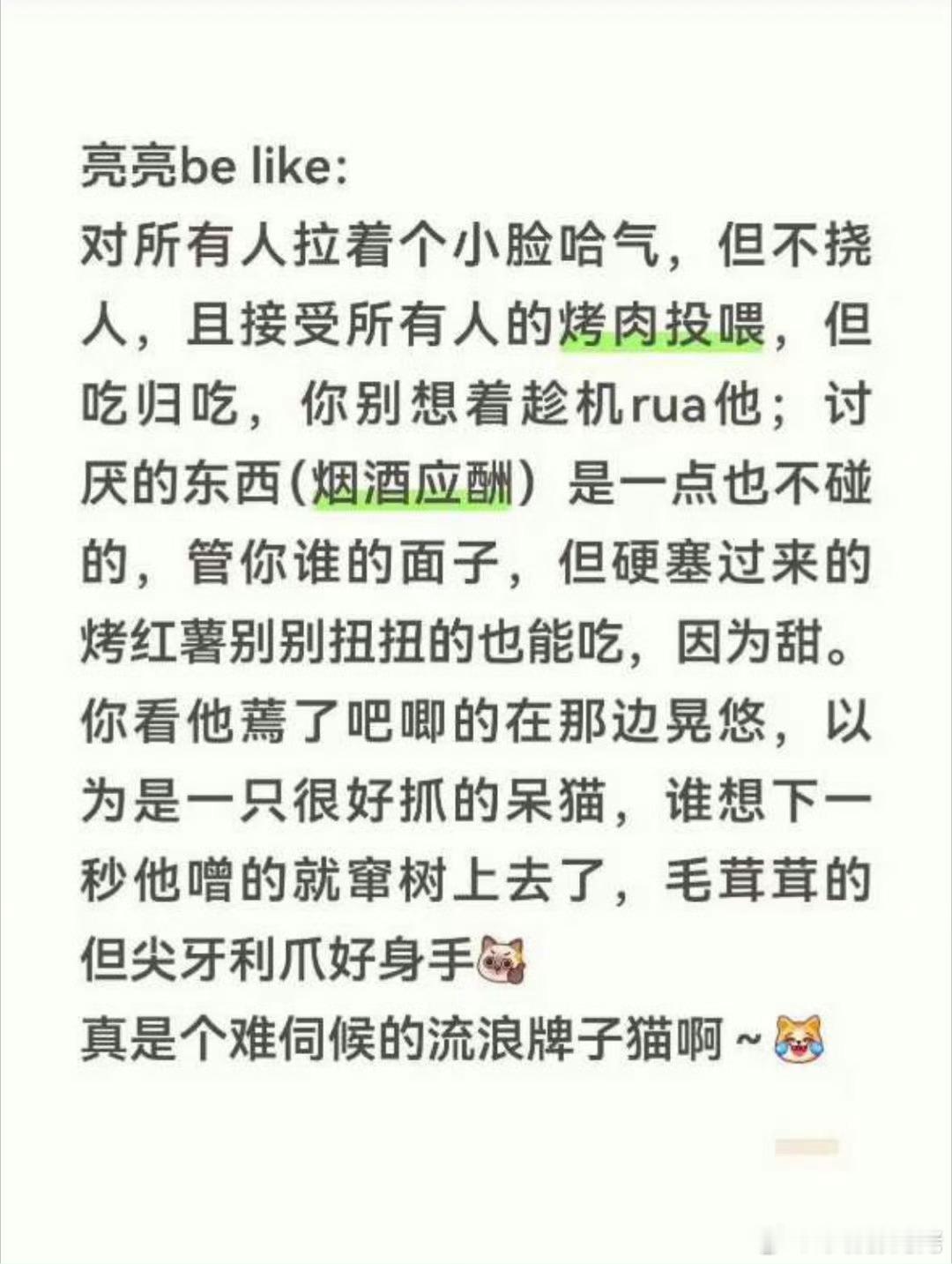 小城良方牌子猫被忽悠拍宣传片 我一旦接受刘铮亮这个猫塑，一切都合理了，你们看归看