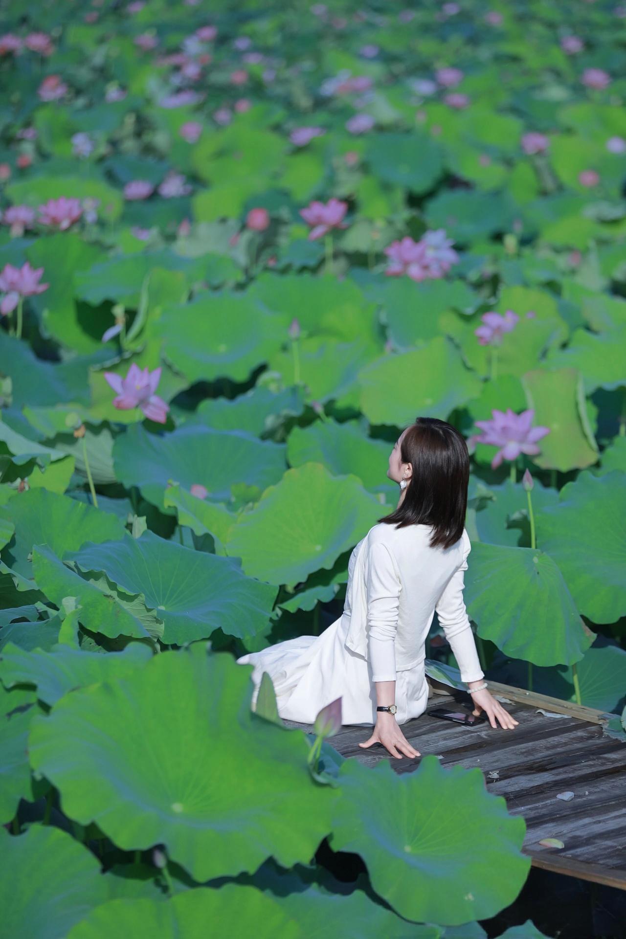 夏日生活打卡季 七月到了，风里满是荷香与西瓜甜。找个傍晚去荷塘边，那是与自然亲密
