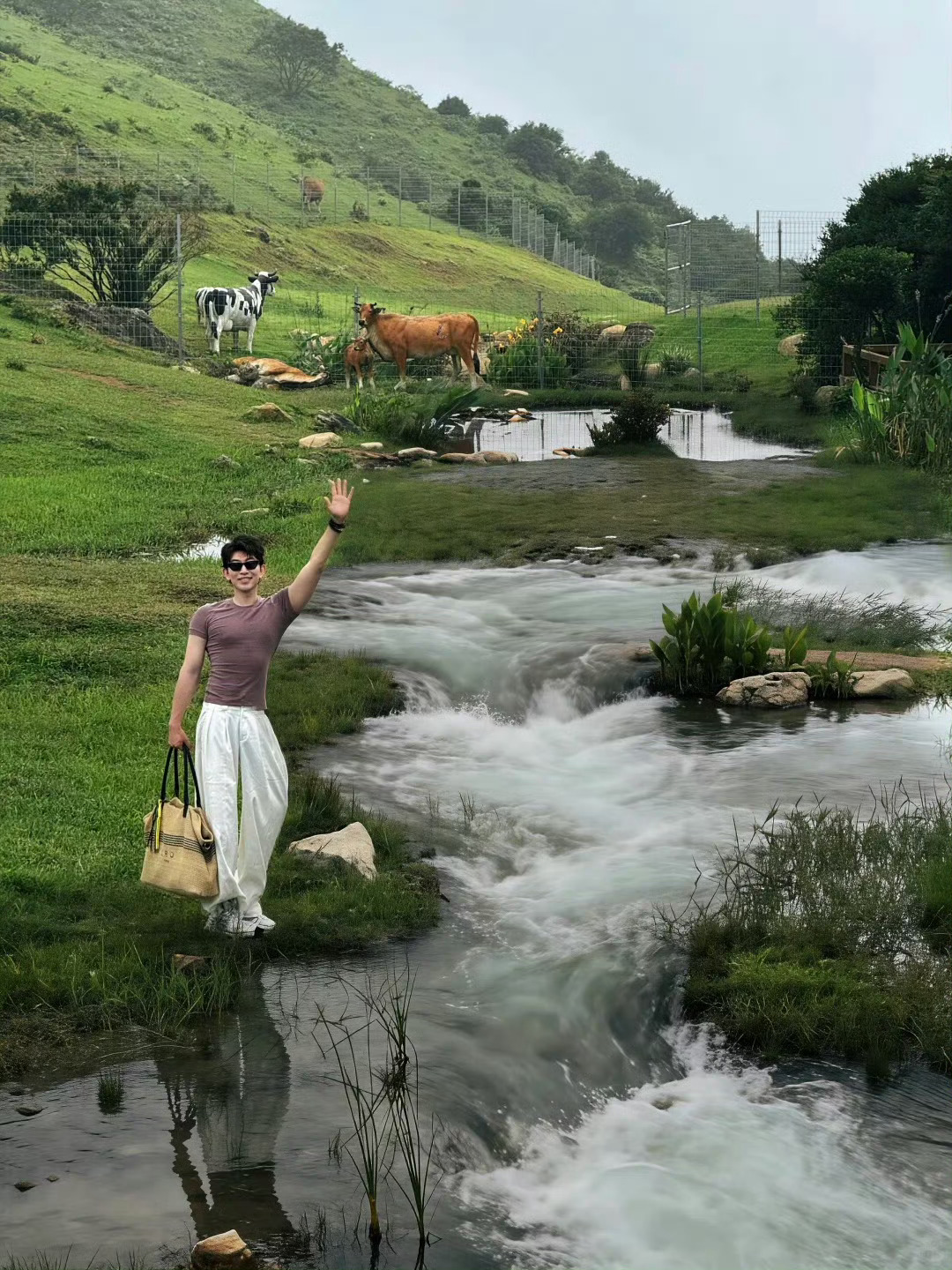 福州生活夏天在福州怎么玩虎纠人讲福州 【福清·大姆山草场】青山铺翠，碧草连天。把