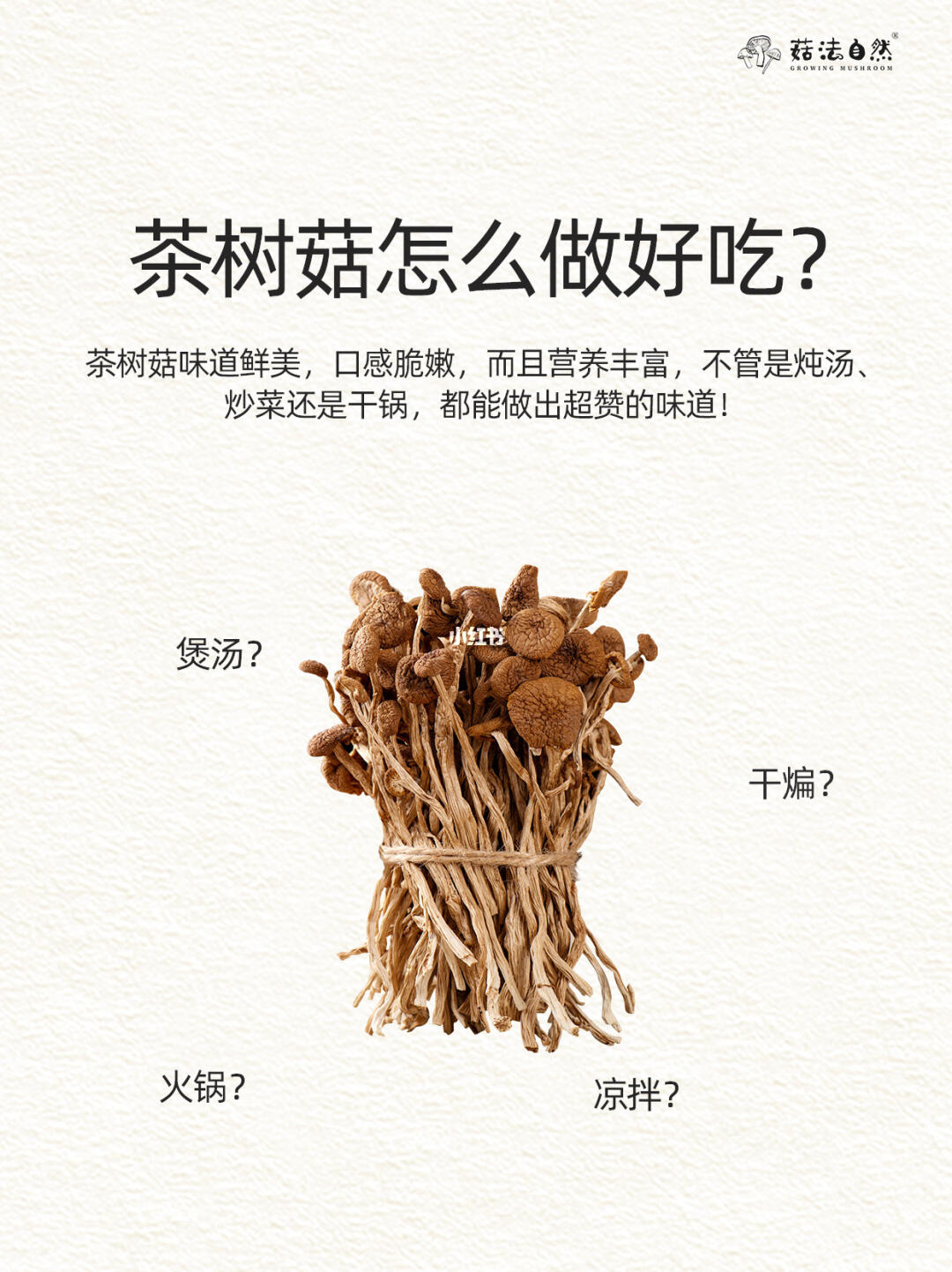 不是🤭没人告诉我茶树菇竟然这么好吃啊❓
