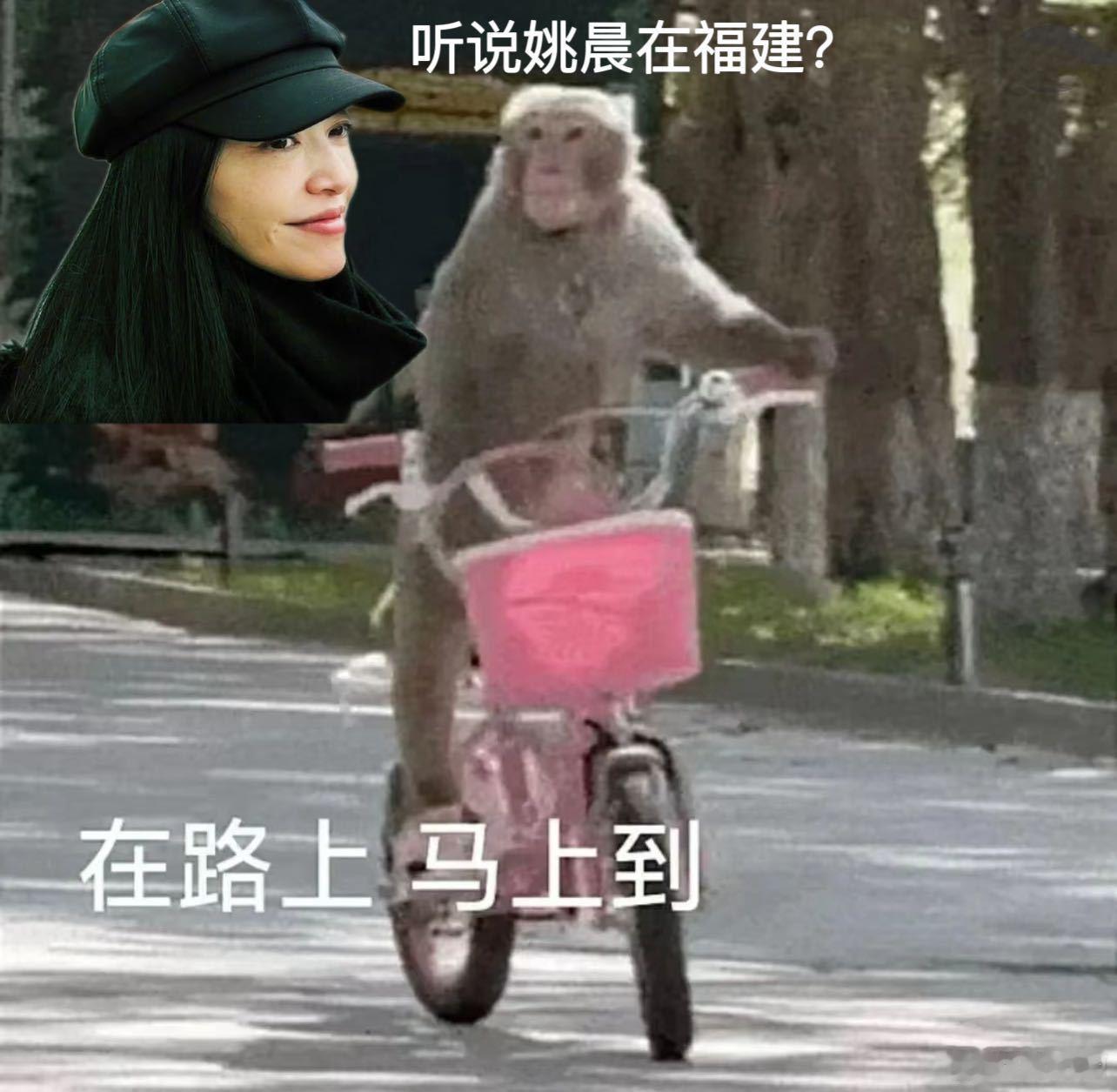 姚晨福建到底有谁在啊  请姚晨多发这样的微博，让我们跟着她的脚步，继续探索福建的