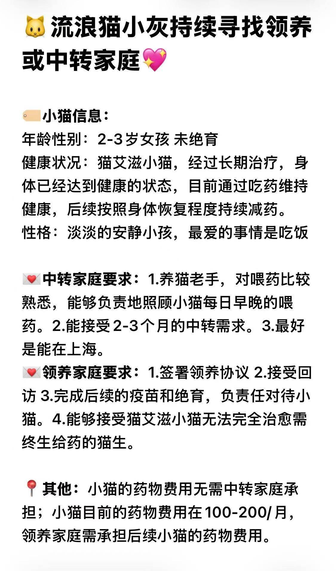 帮扩！流浪猫小灰想要软软的床🐱年龄性别：2-3岁女孩未绝育健康状况：猫艾滋小猫