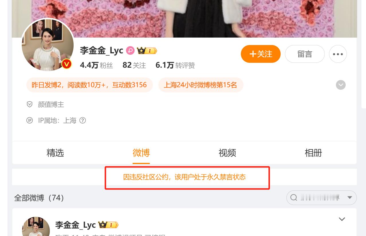 报告各位，京城乔哥的账号被永久禁言了，VIP中P也白充了，抬走，下一个一句话，别