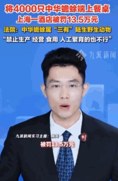 "常在河边走，哪能不湿鞋。"上海一家酒店把4000只中华蟾蜍端上了餐桌，以为从养