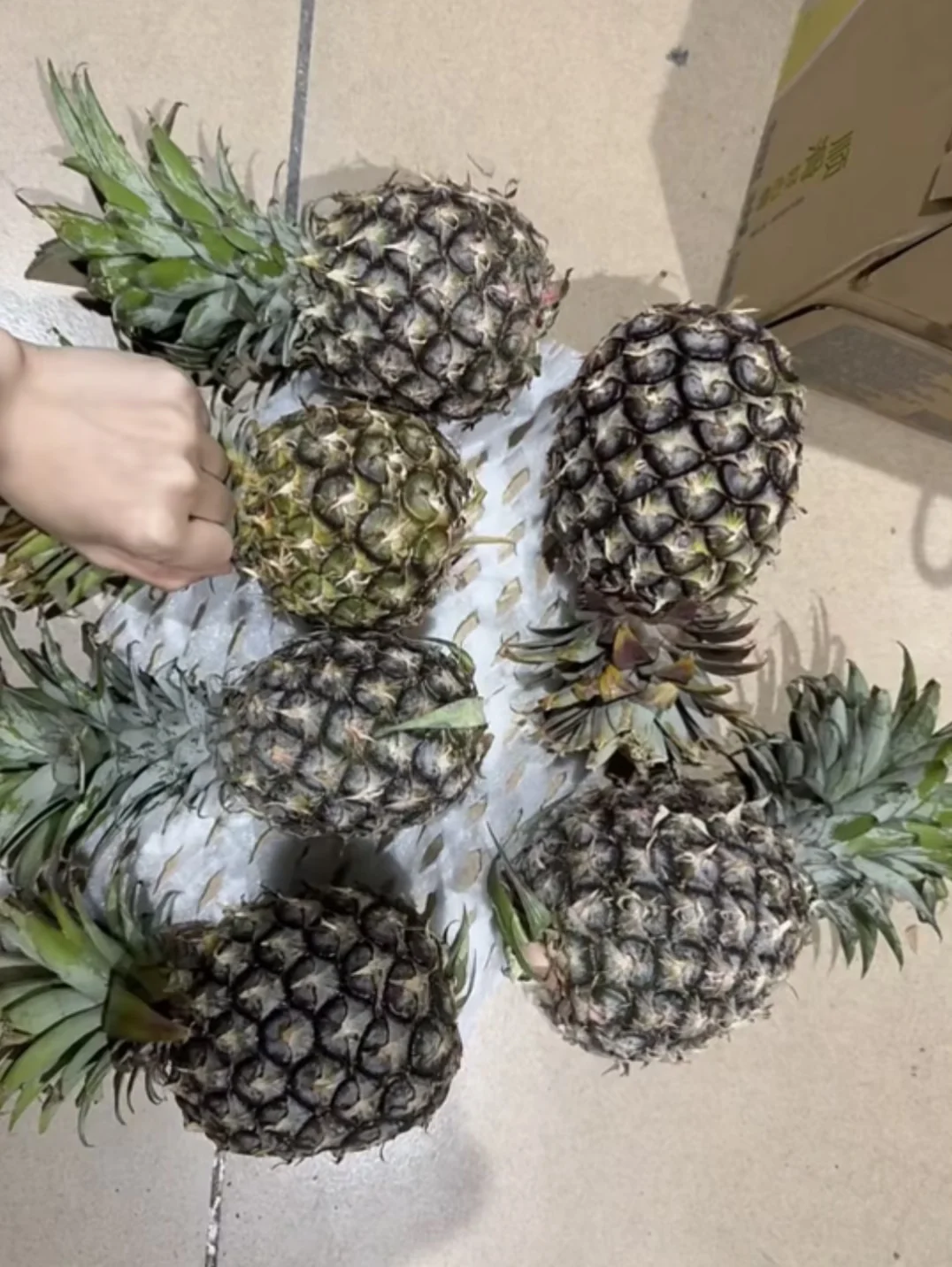 注意，受骗者已经大规模扩散了！不要贪便宜