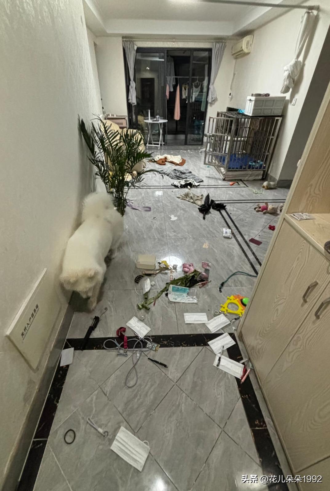 大闹天宫了，今晚上你与我只能活一个！