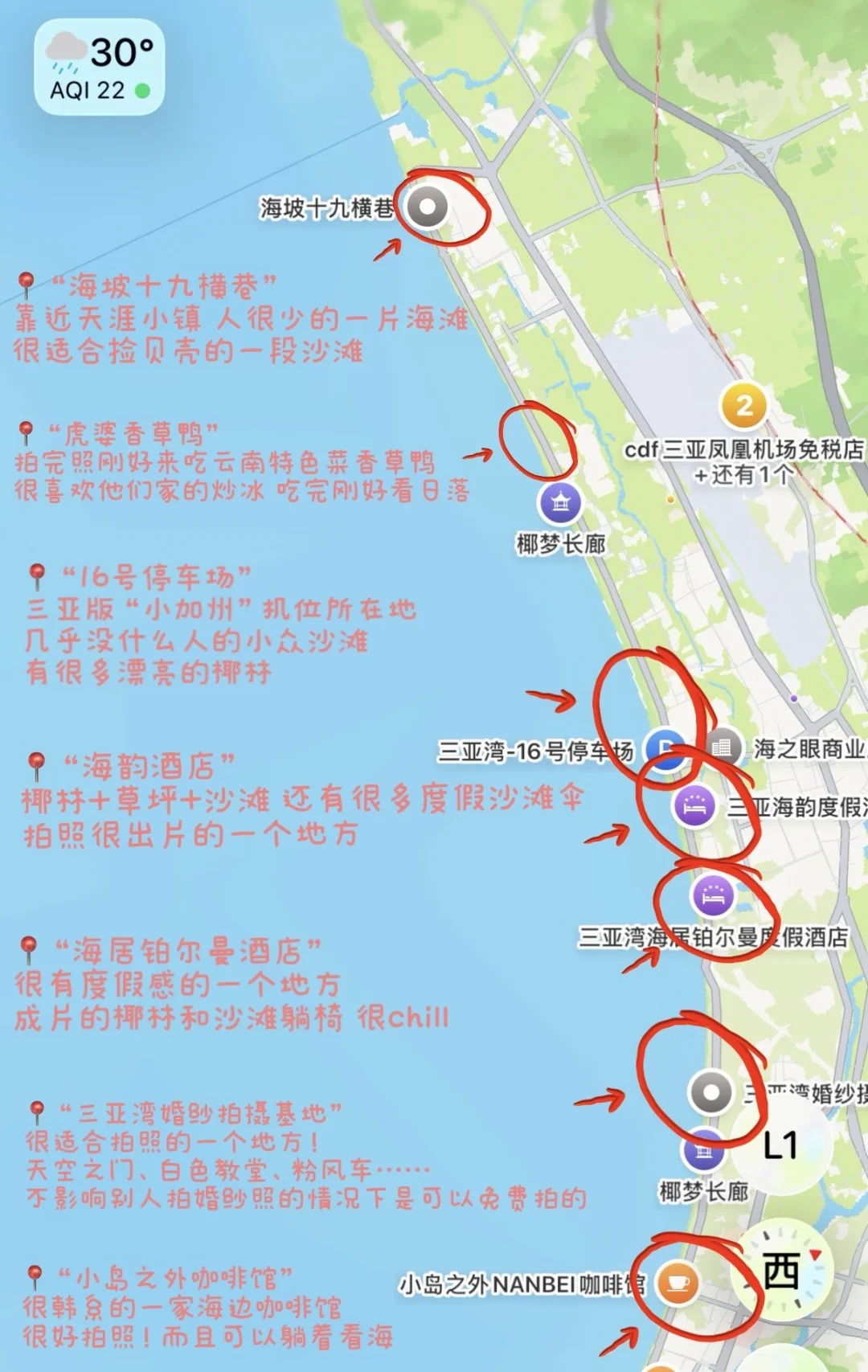 🌴椰梦长廊超全拍照攻略（附详细位置）