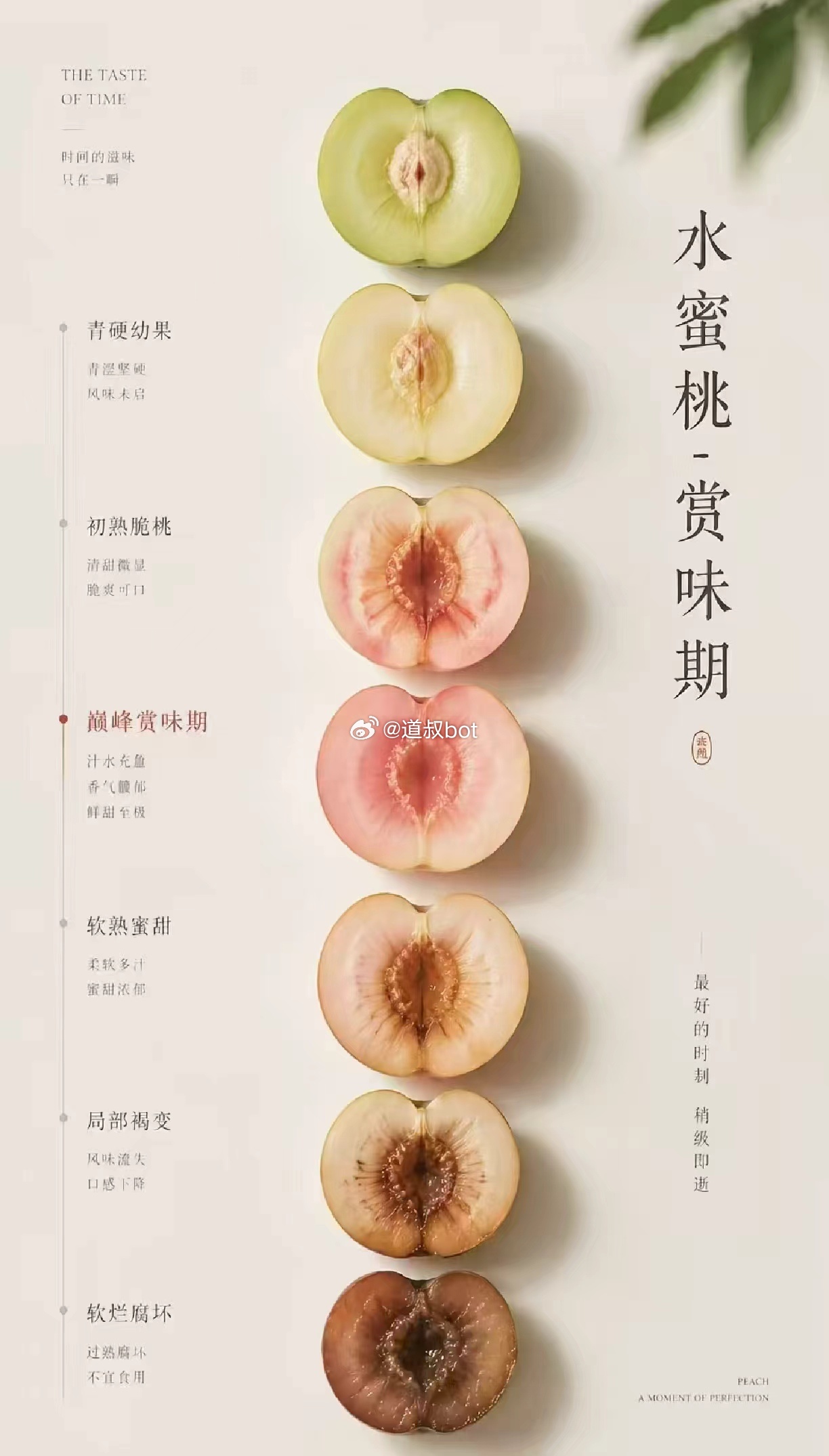 水蜜桃，赏味期。 