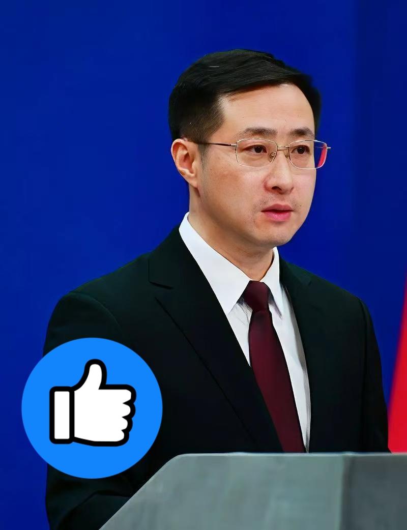 最新消息
外交部正式宣布
11月11日，外交部发言人林剑在例行记者会上明确表示，