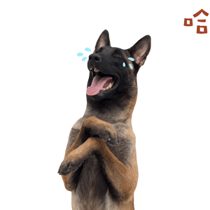 AI十级东北话理解能力 我觉得AI能够在方言板块做的这么好也是蛮不错的，毕竟家里