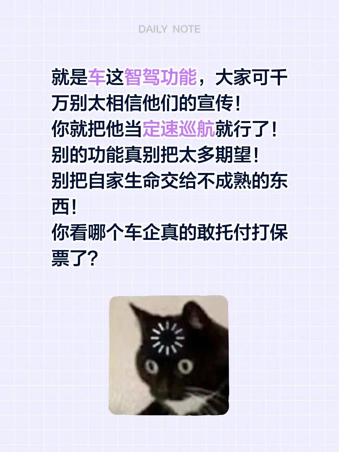 就是车这智驾功能，大家可千万别太相信他们的宣传！你就把他当定速巡航就行了！别的功