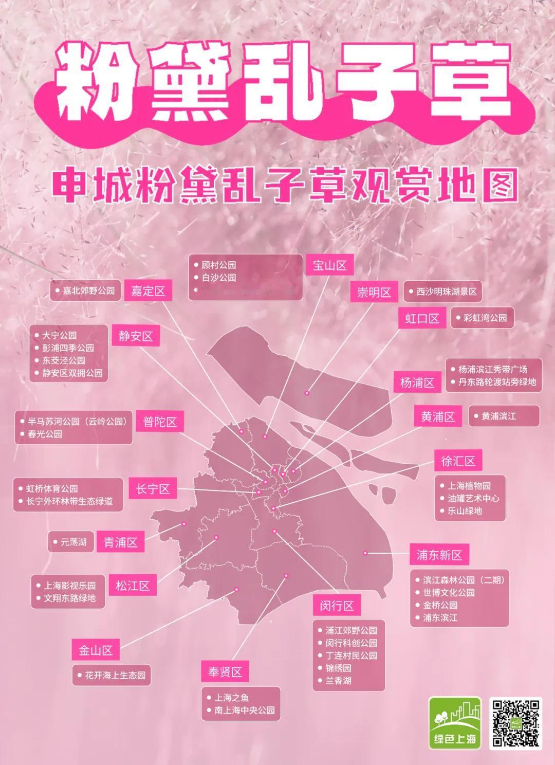 上海地区粉黛乱子草观赏地图，建议收藏。
#赏秋##粉黛乱子草#