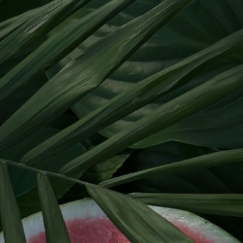 0000西瓜种植方法:温水浸种催芽，选用疏松土壤。气温20℃以上播种，覆土1cm