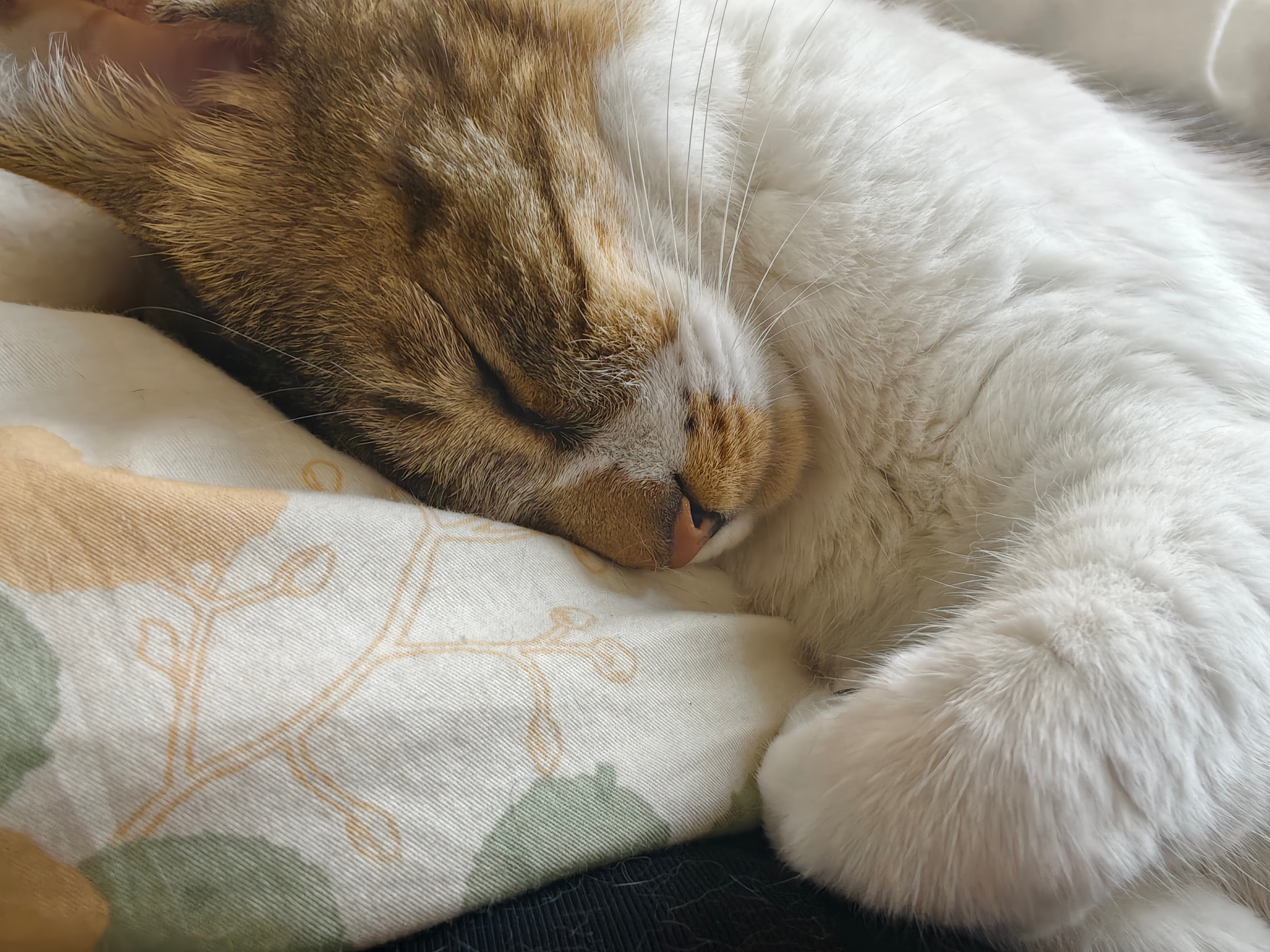 你们就说某人是不是有问题？刚我就只是随口跟他说，能不能笑一下给我看看。结果他一脸