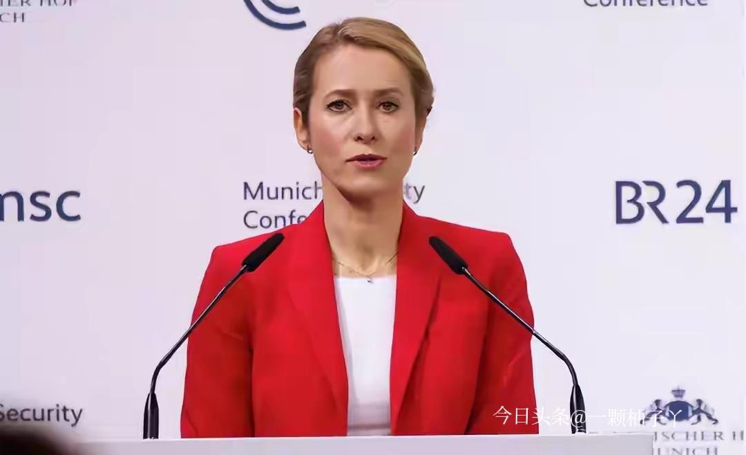 欧盟议员当众怒怼外长，发生在欧洲议会公开辩论现场。欧盟外长在会上持续聚焦相关议题