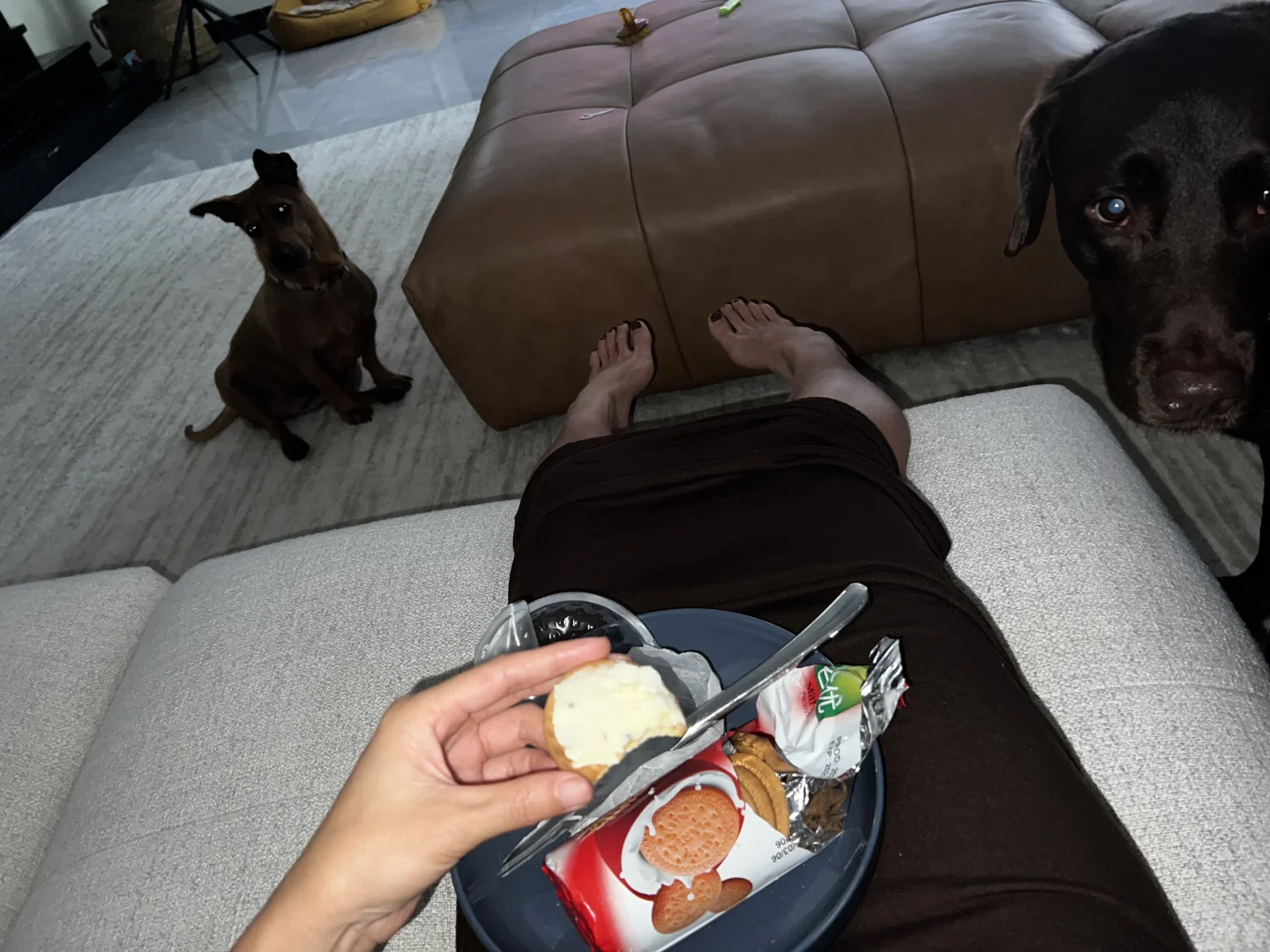 我们两也想吃白人饭🐷