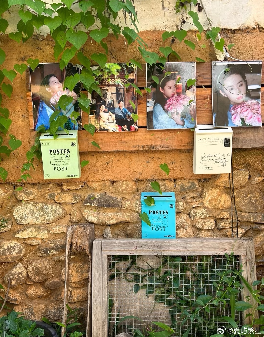 读书陪伴我成长我的私人宝藏书单书评 倘若你的眼睛真是这样冷窗外的雨下了一整夜。我