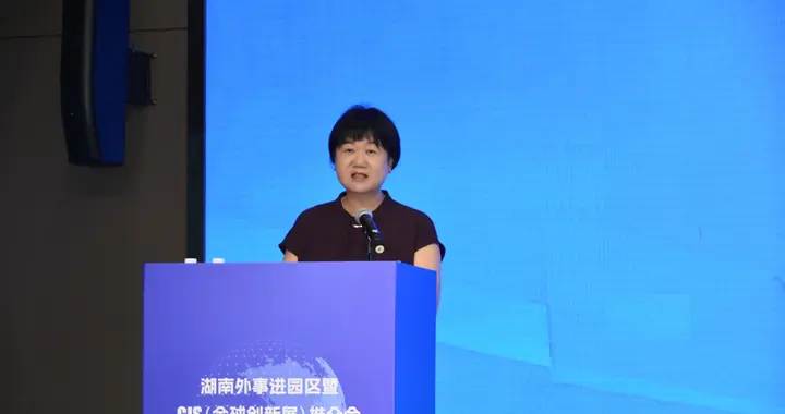 湖南外事进园区暨GIS（全球创新展）推介会在湘江新区举行