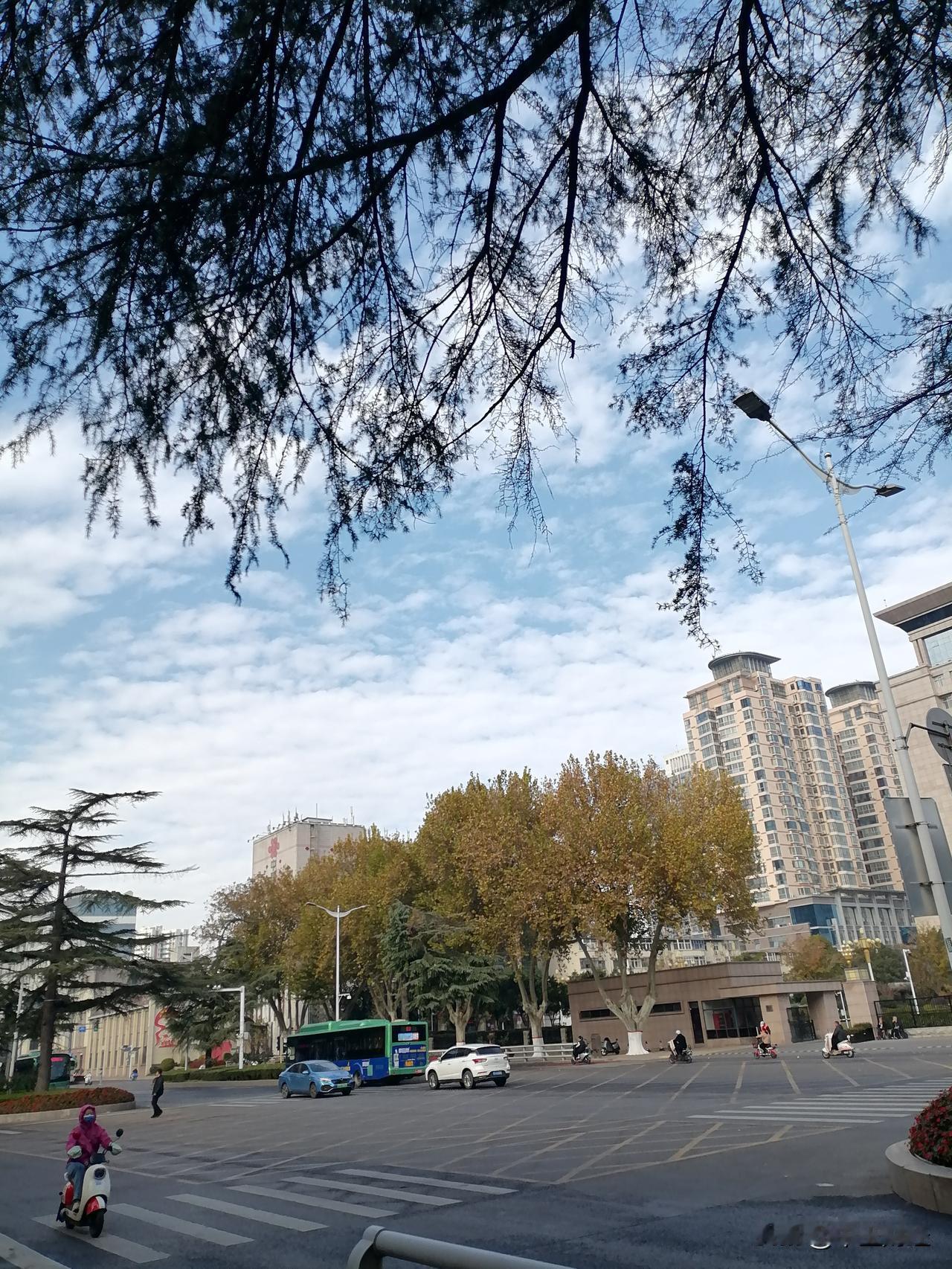 此时此刻，此情此景！

初冬的郑州，天空湛蓝，街道非常洁净！河南郑州 郑州过冬