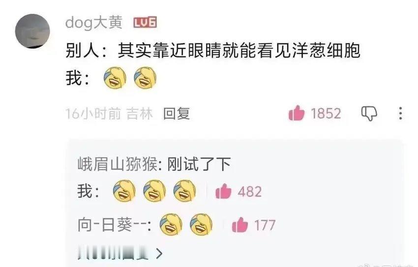 其实靠近眼睛就能看见洋葱细胞 
