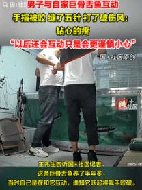 这下老实了！9月17日山东滨州，一男子和自家巨骨舌鱼互动，结果手刚伸进鱼缸里，巨