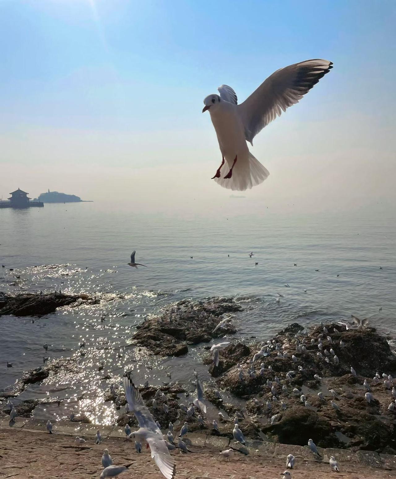 现在的老年人都是这么勤快的吗？

不到7点钟的公交车上，清一色的老年卡，只有我一