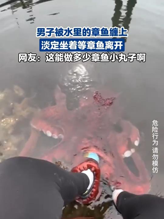 太可怕了，被章鱼吸住，千万不能硬扯，也别盲目跳海，捂死口鼻真的会窒息出事！遇到章