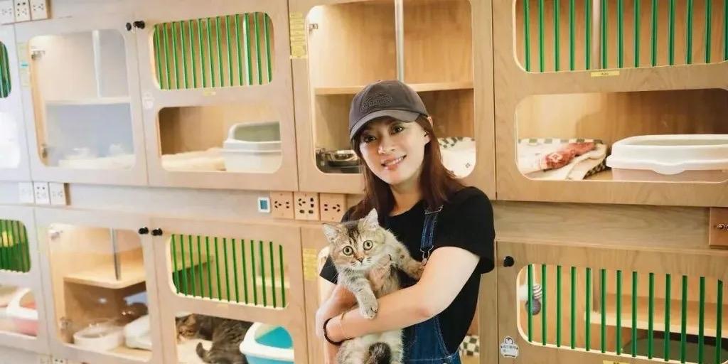 演员孙俪于12月29日在社交平台晒出仅3颗坚果的夜宵，尽显自律。而此前她分享的教