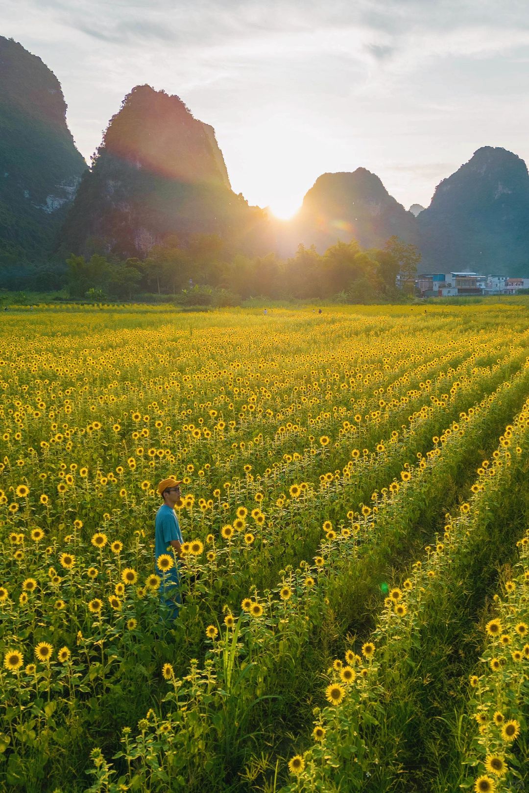 “推荐8个我认为最适合春天的旅行地”🍃