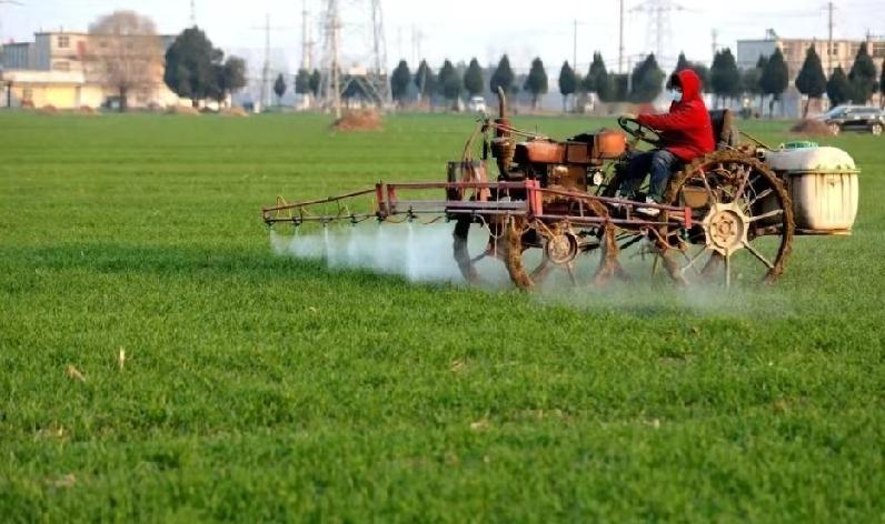 粮食丰收了，农民笑了，但为啥说“三农”还不能松劲？

最近开了中央农村工作会议，