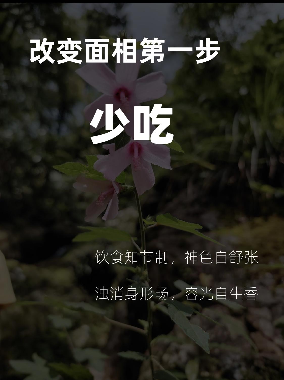 中医倪海厦：假如你有钱，就去买好看的衣服穿，买好的车子开，但吃一定要尽量简单。