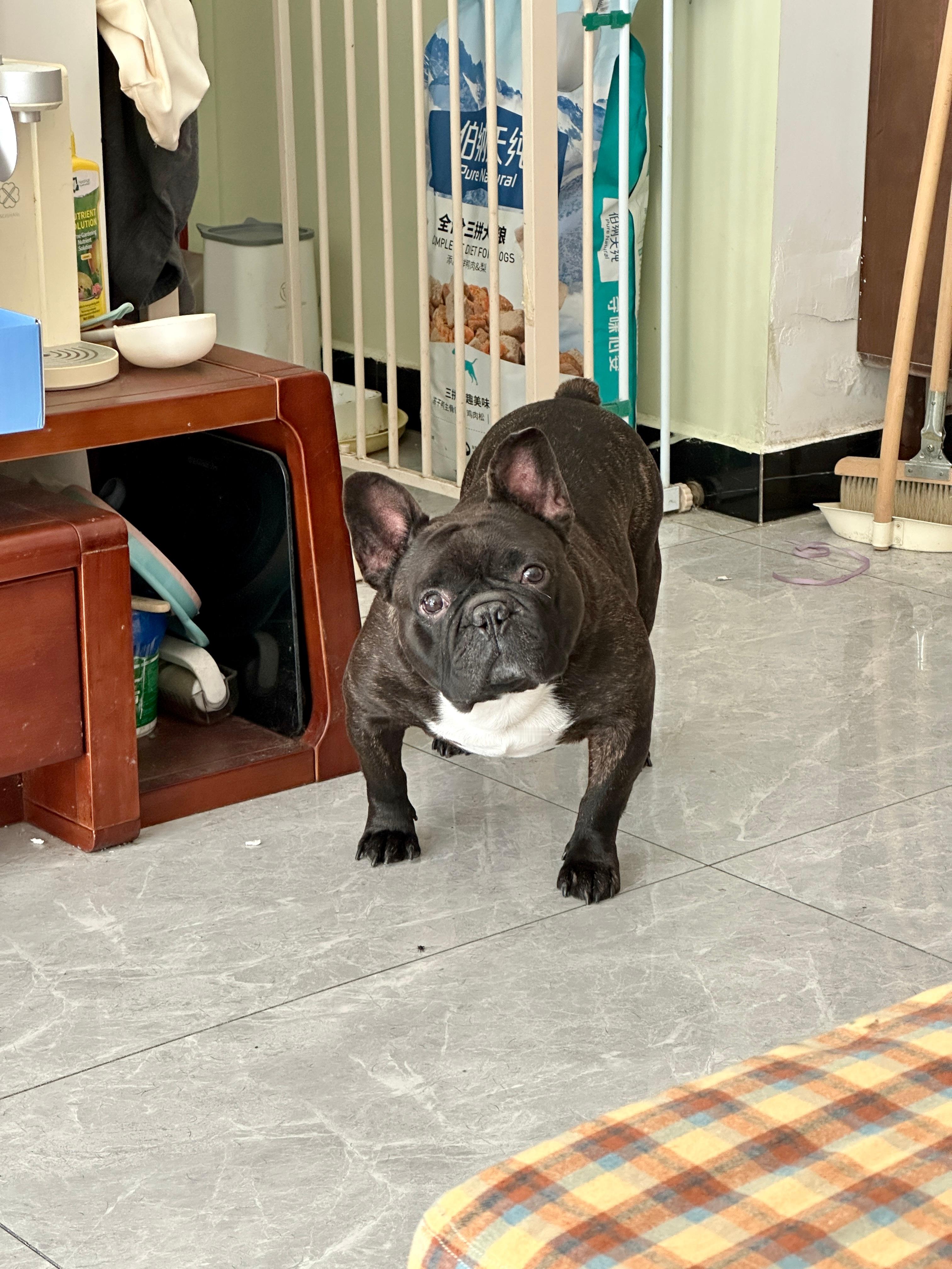 现在的作息让我整个人都很舒适。早上起来，处理手机消息，半上午出门，然后7-8点就