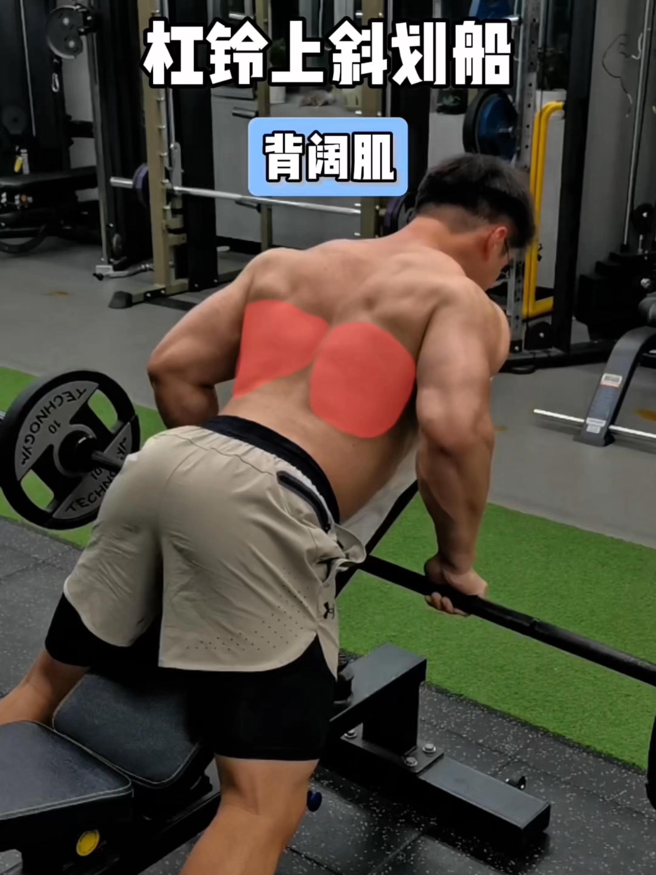 杠铃俯卧划船，保姆级教程！ 一、目标肌群 杠铃俯卧划船，背阔肌 二、练...