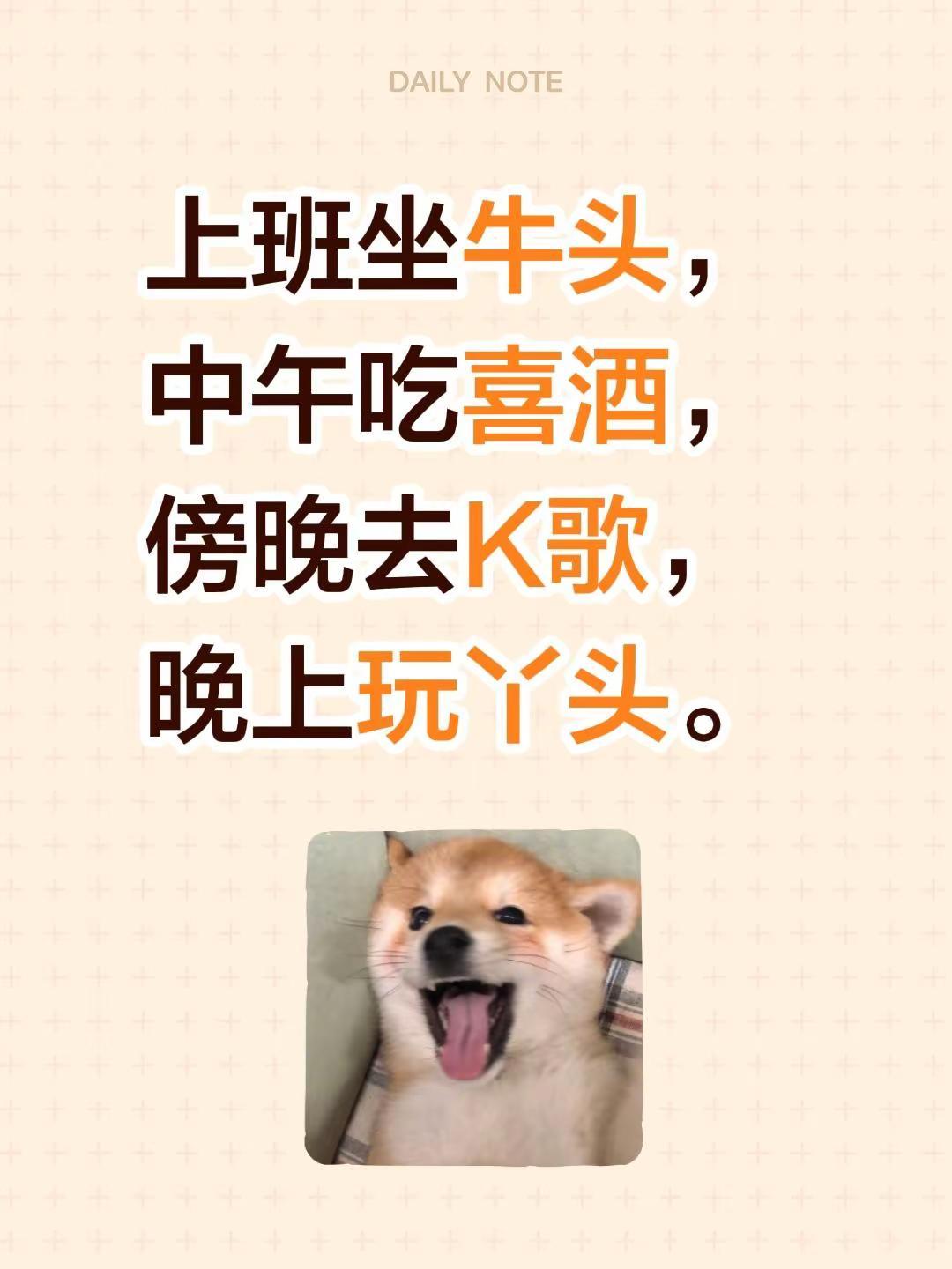 上班坐牛头，中午吃喜酒，傍晚去K歌，晚上玩丫头。