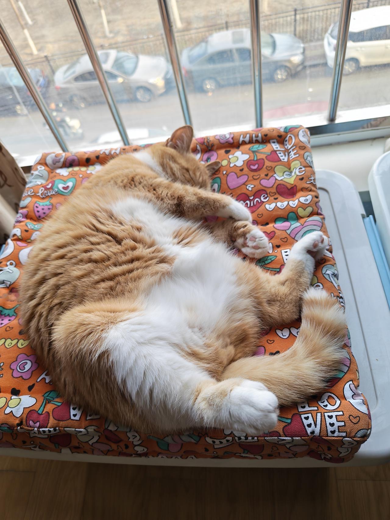 春日生活打卡季放松