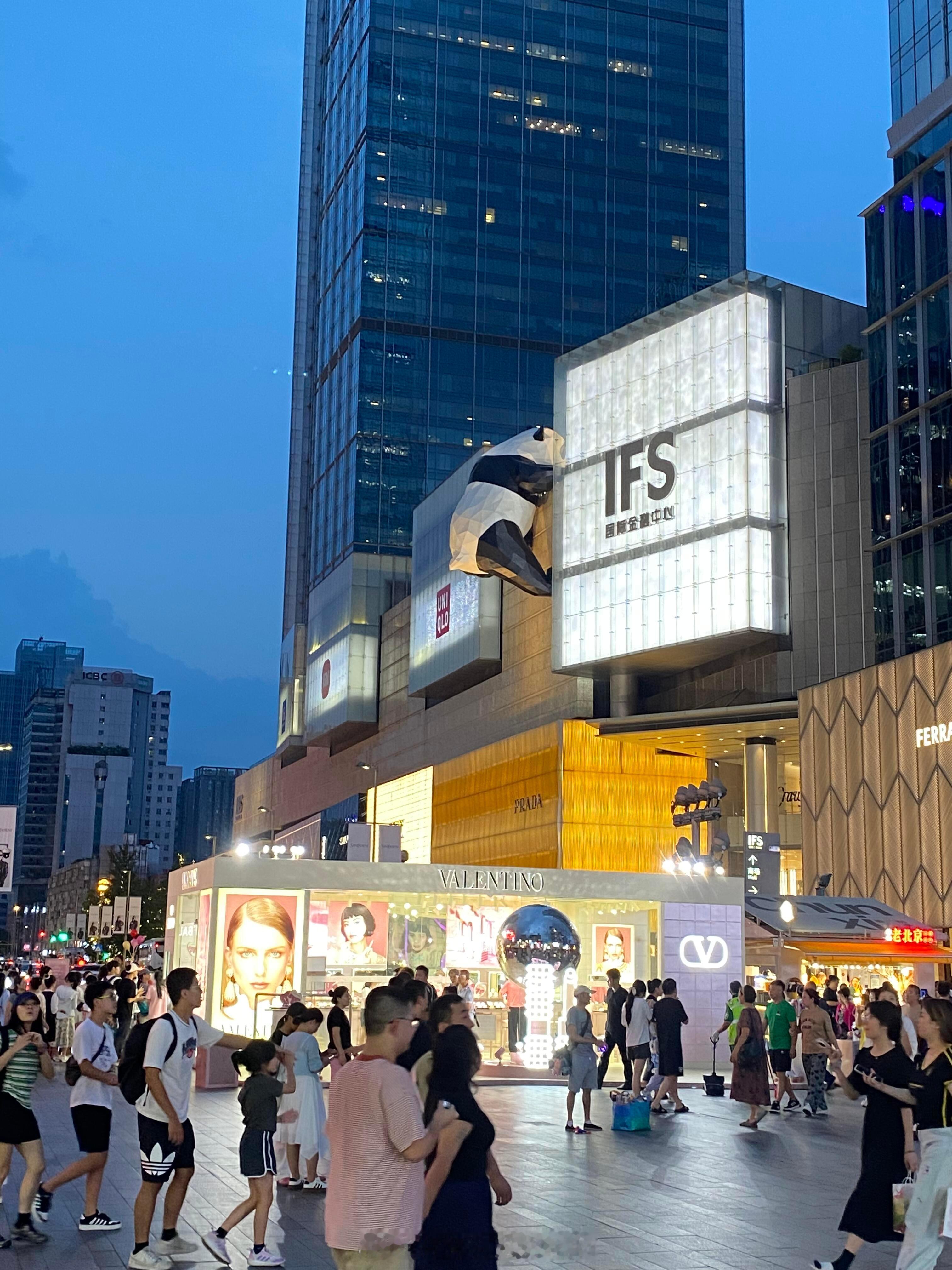 全国一半的网红都到成都了成都那只爬墙大熊猫，每天坚持瑜伽拉伸动作，仿佛在说：“看