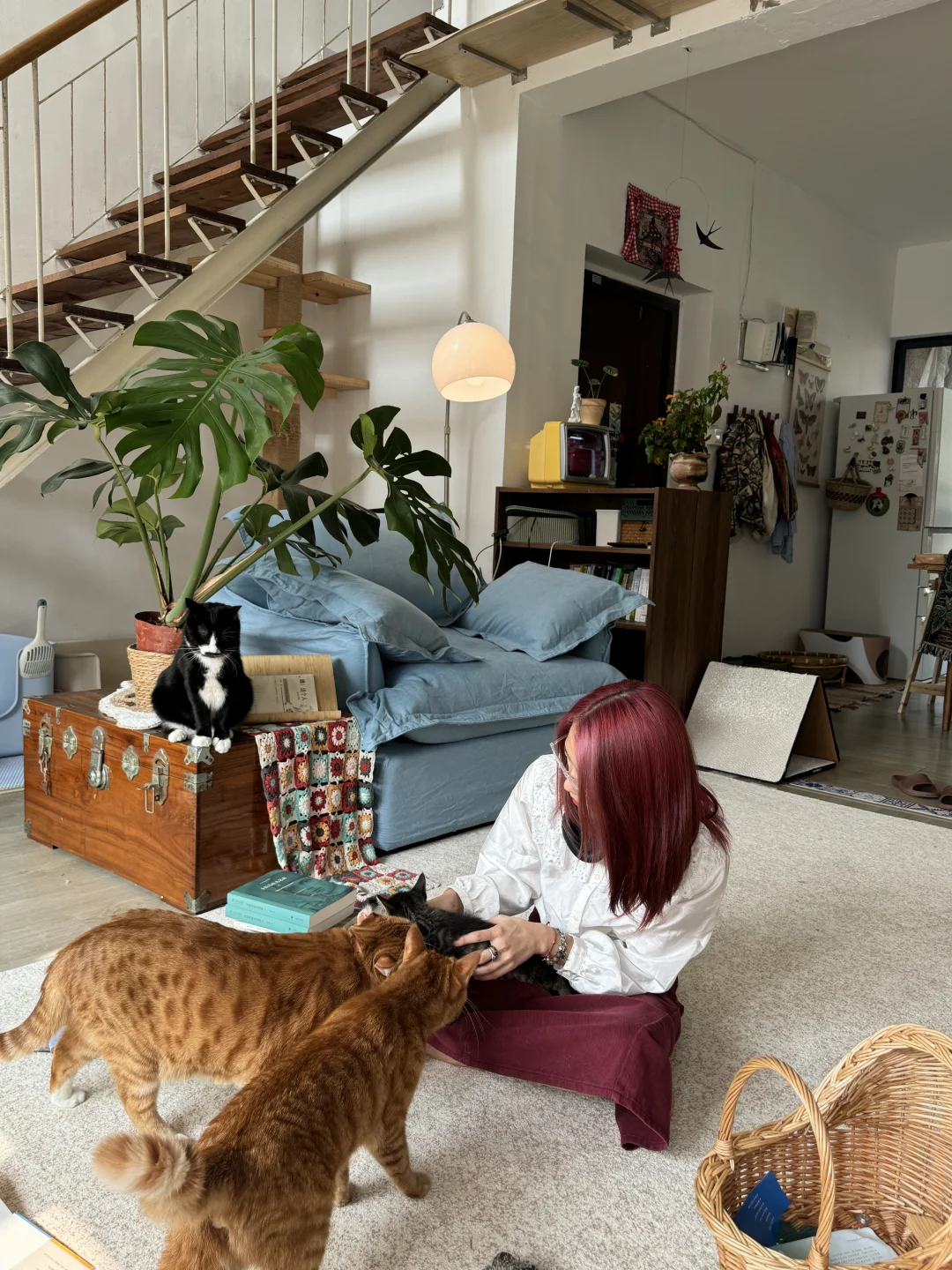 谁说顶楼房子不能住！不社交宅家太快乐了