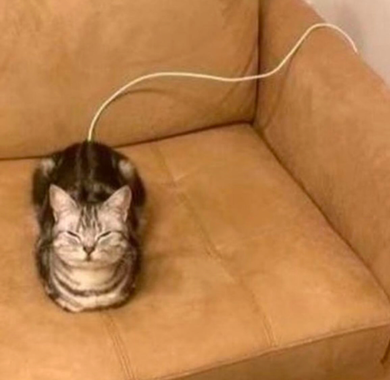 - 