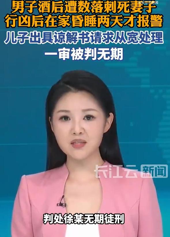 男子酒后刺死妻子儿子出具谅解书，一审被判无期徒刑。很多人对于儿子出具谅解书有颇多